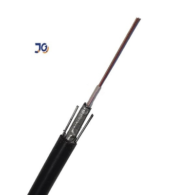 12 Cáp quang bọc thép 24 lõi GYXTW