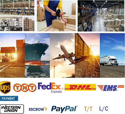 6 8 12 24 48 Core Steel Tape PSP Bọc thép GYTS GYTS53 Cáp quang ngoài trời