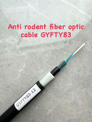 GYFTY83 chống gặm nhấm FRP bọc thép thành viên sức mạnh 12 24 48Core Cáp quang sợi