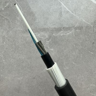 GYFTY83 chống gặm nhấm FRP bọc thép thành viên sức mạnh 12 24 48Core Cáp quang sợi