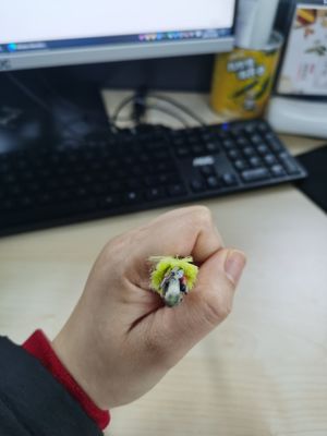 Áo khoác đơn không kim loại Cáp quang ADSS 6/12/24/48/96 Lõi 100 / 200m G652D